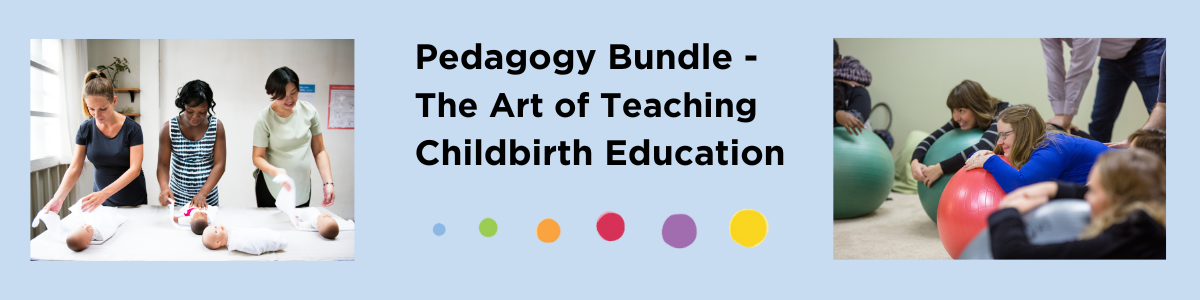 Pedagogy Bundle: The Art of Teaching Childbirth Education